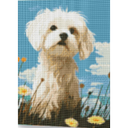KIT DIAMOND PAINTING CON BASTIDOR DOG NOBLE 30X40
